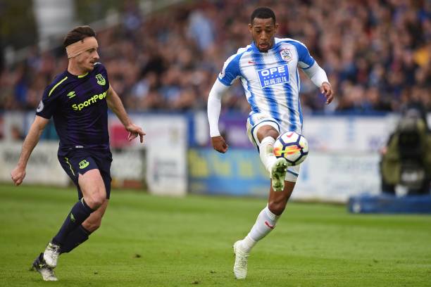 提供了新的 提供了新的