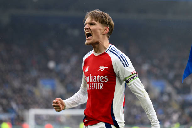 他來自葡萄 他來自葡萄